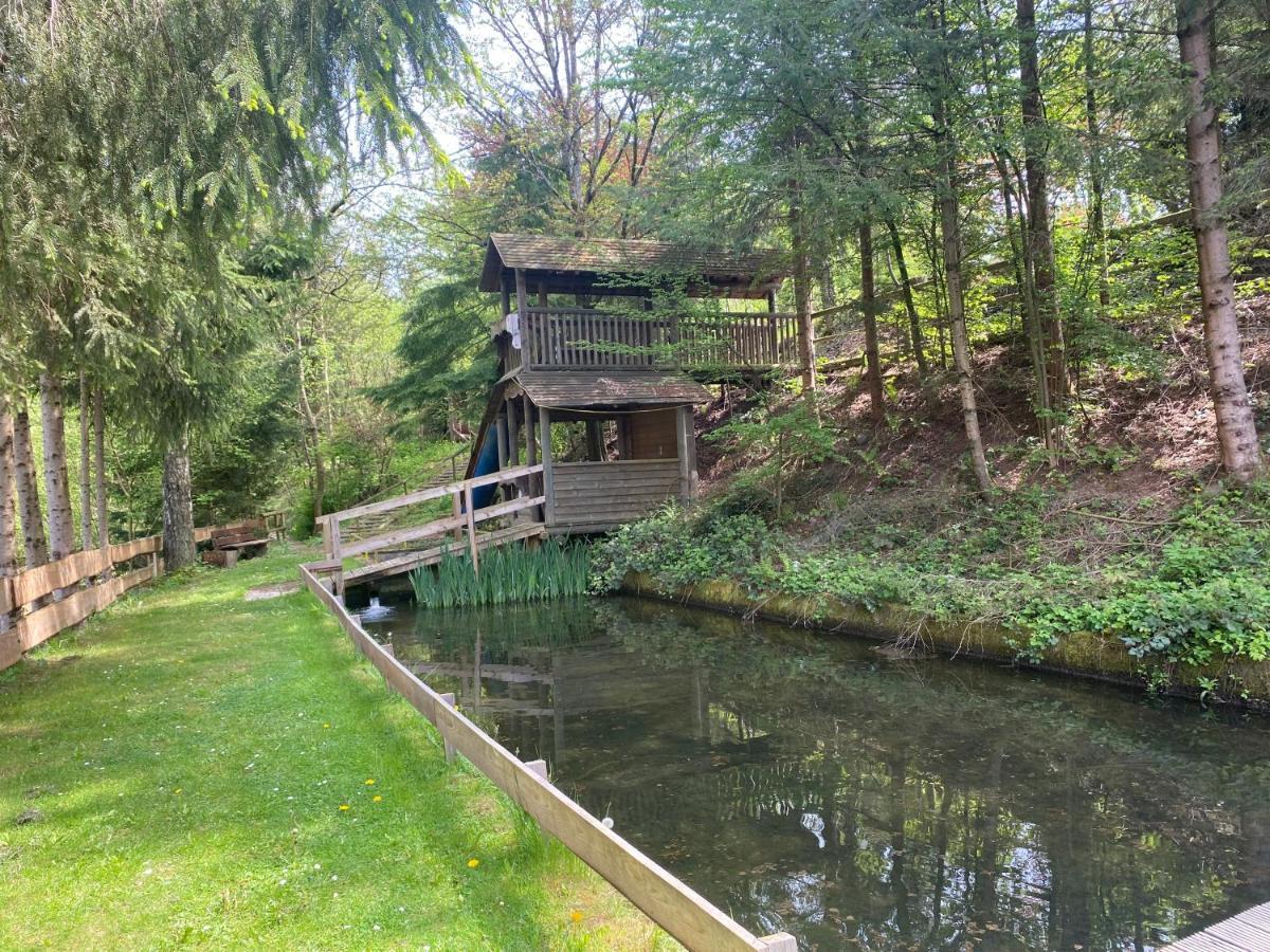 Hotel Hotel-restaurant Theis-muehle Biersdorf
